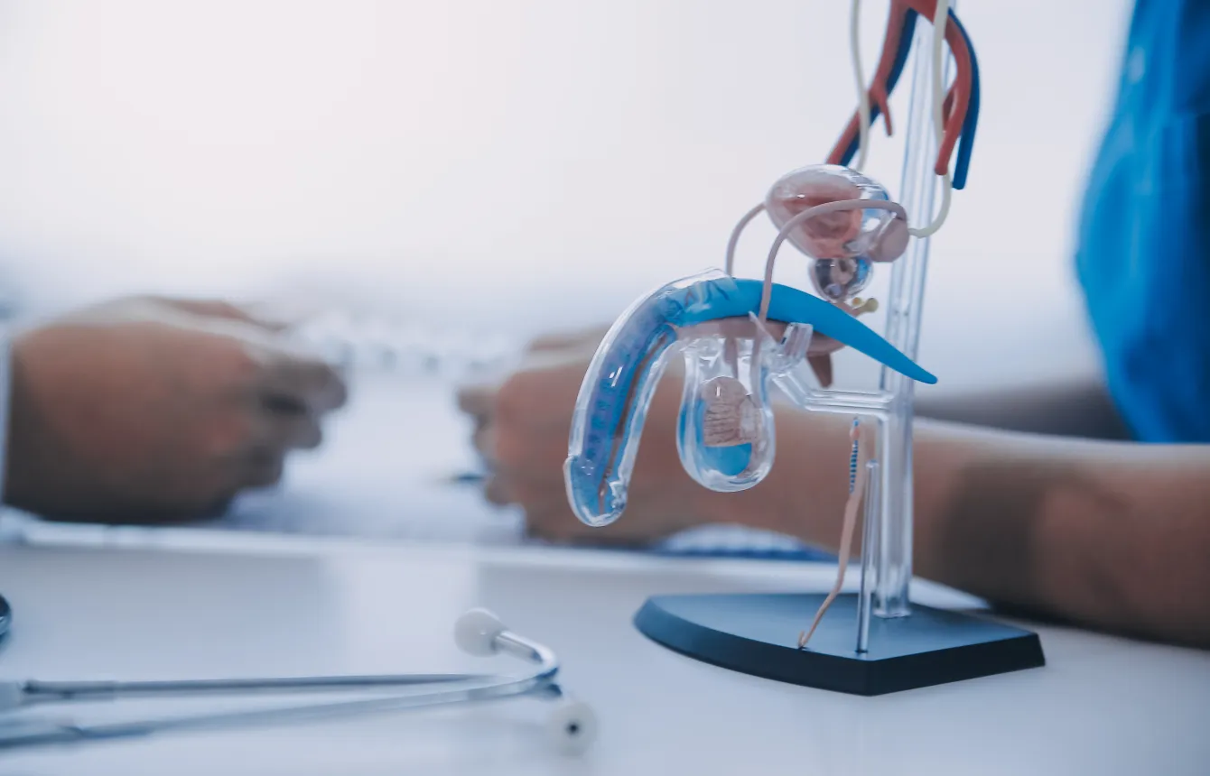 Disfunción eréctil y eyaculación precoz